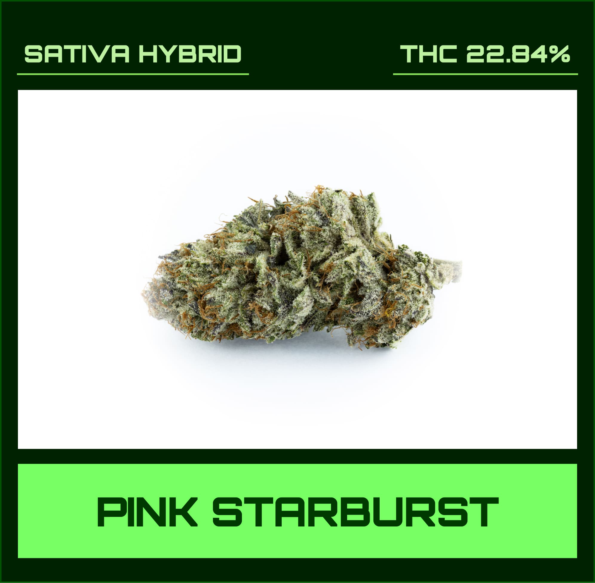 Pink Starburst