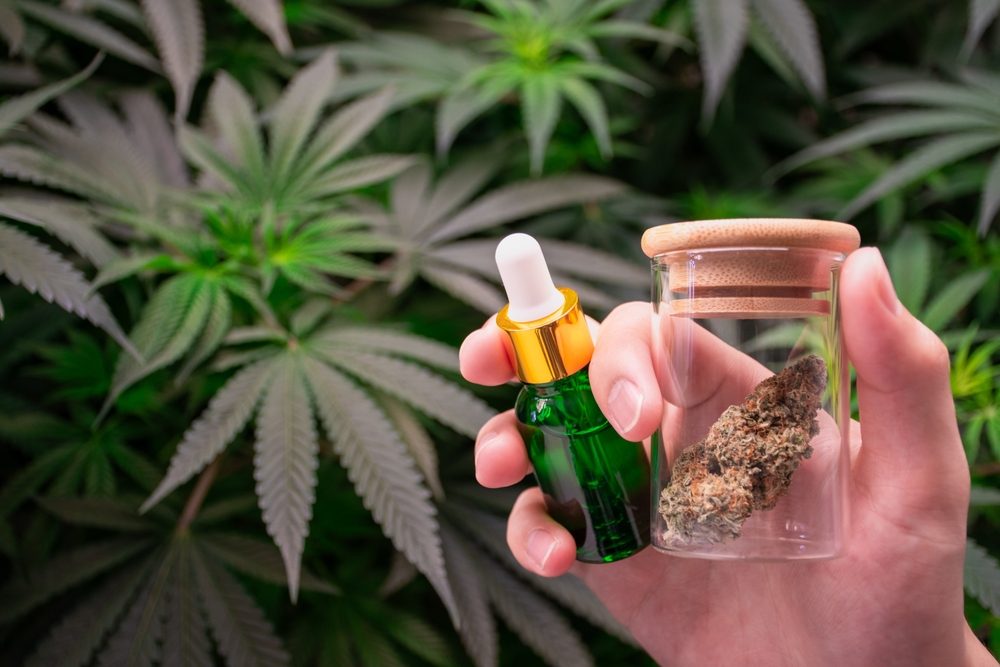 Legally Buy Weed In Bangkok in 2025