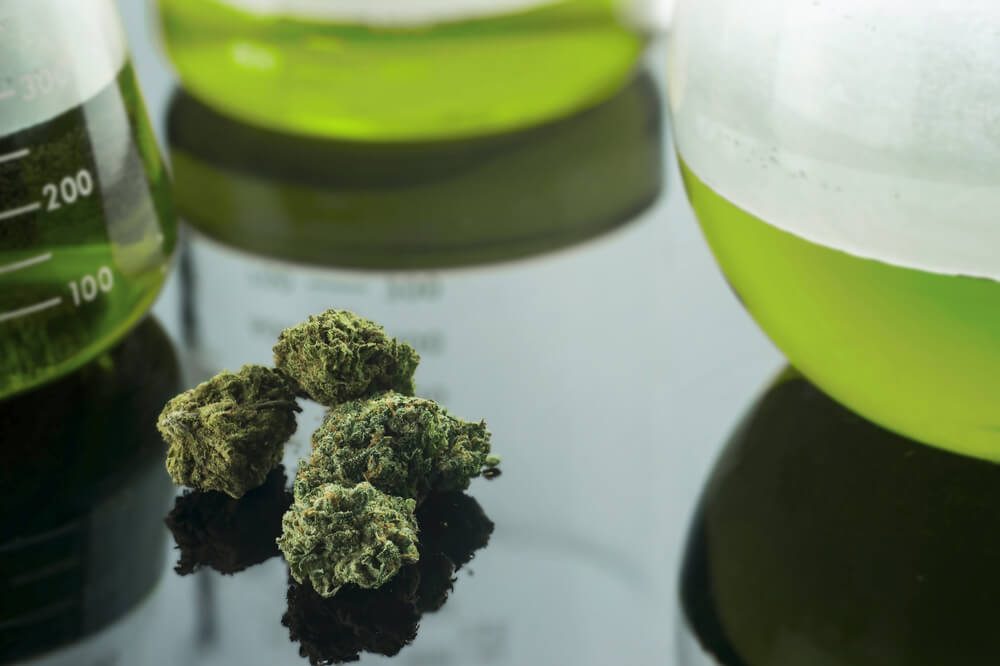 Medical Marijuana Strains