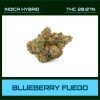 BLUEBERRY FUEGO