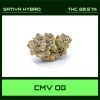 CMV OG