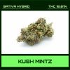 KUSH MINTZ