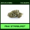 PINK STARBURST