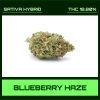 BLUEBERRY HAZE