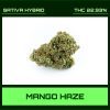 MANGO HAZE