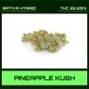 PINEAPPLE KUSH