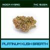 PLATINUM KUSH BREATH